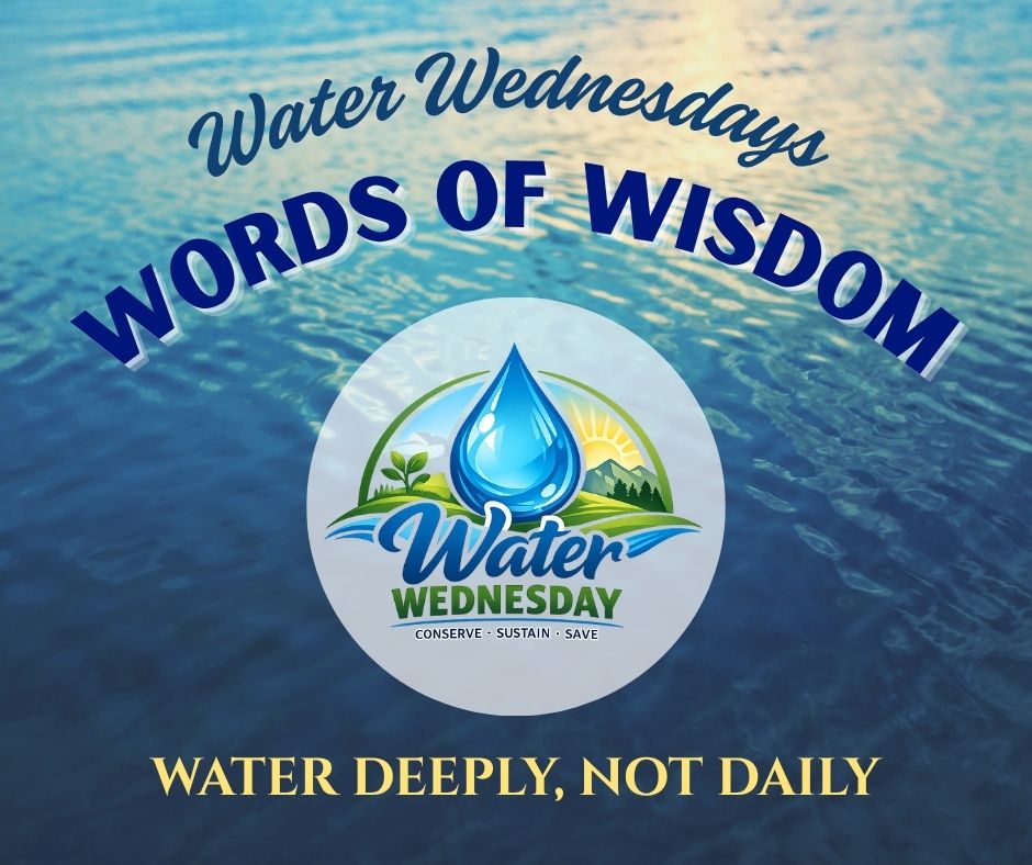Week 10 - Water Wednesday Words of Wisdom 2: "Water Deeply, Not Daily"